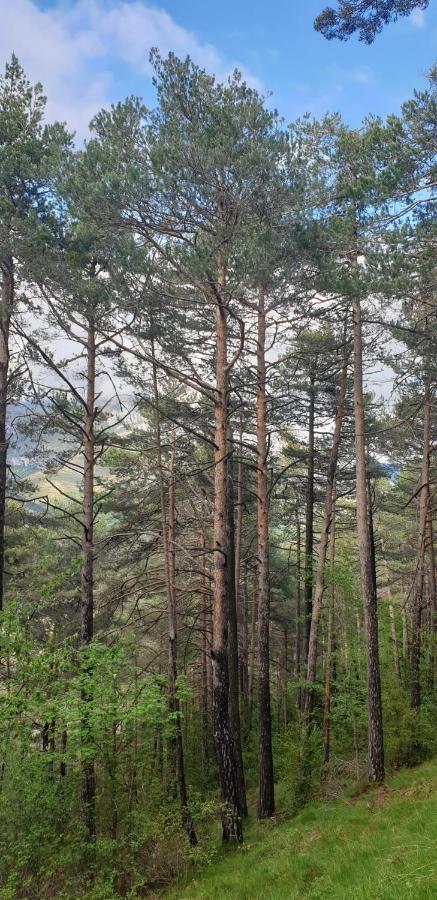 Casa Castel Turismo Rural Serrate Εξωτερικό φωτογραφία